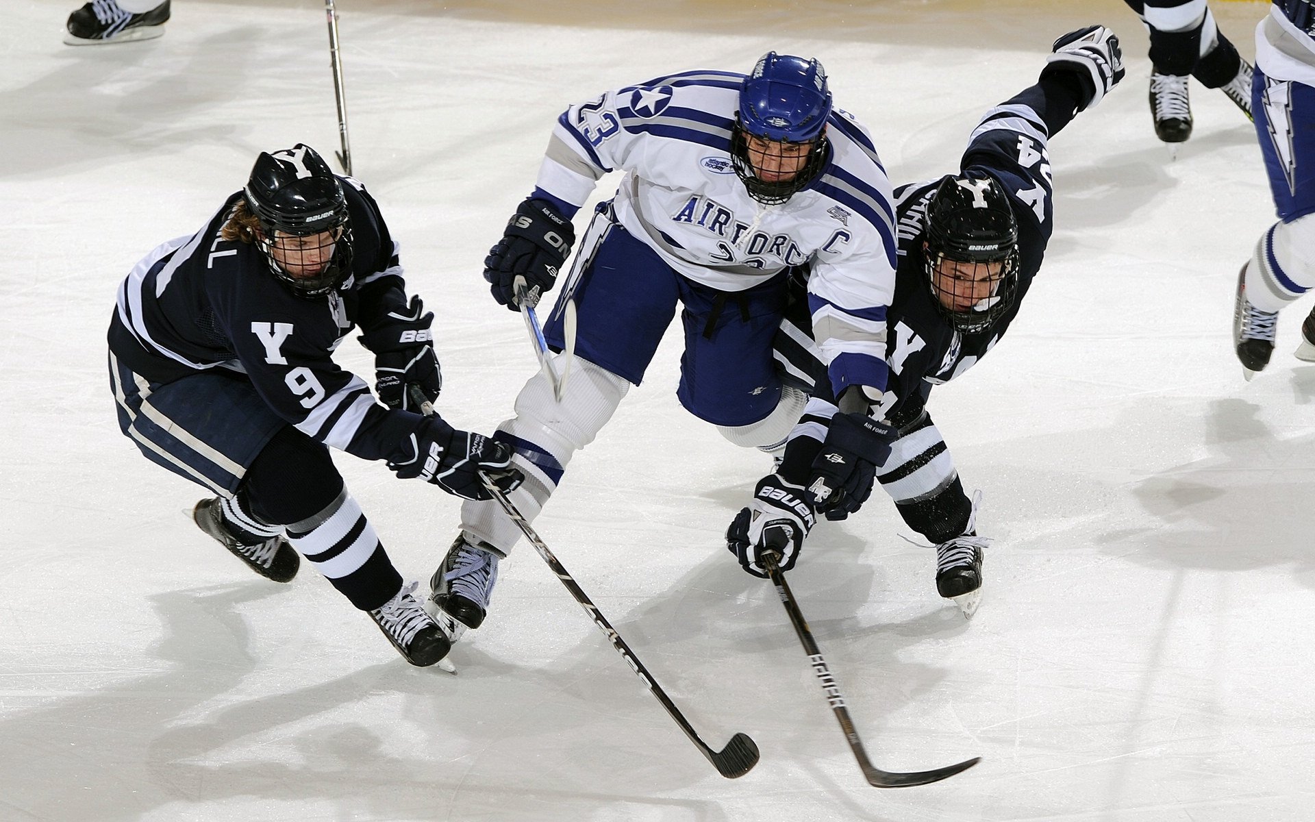 刚果（金）男篮在非洲锦标赛中夺冠，运动实力大幅提升